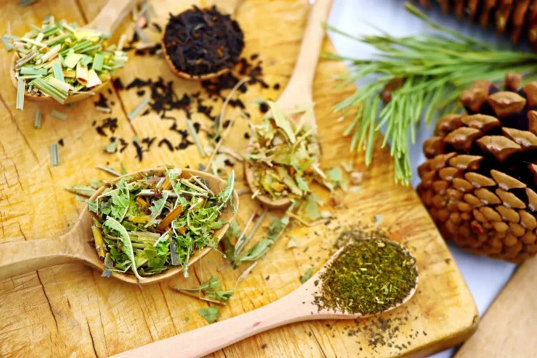 Best Herbal Teas for Relaxation