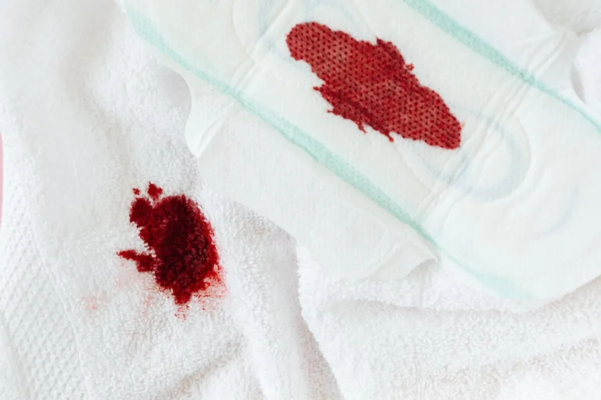 Implantation Bleeding Explained: Signs and Timing