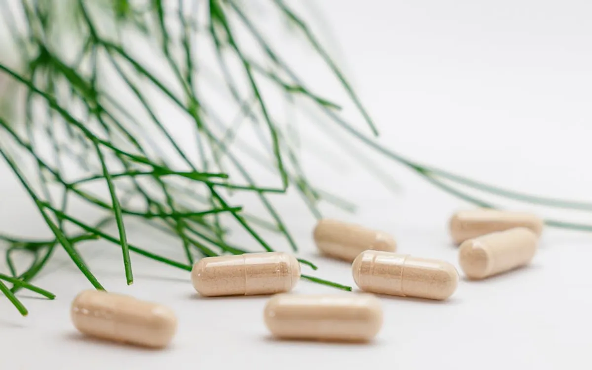 Supplement Label Guide for Beginners
